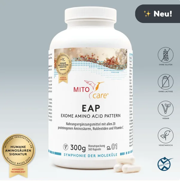 Aminosäuren EAP – and More – Vitaminbox